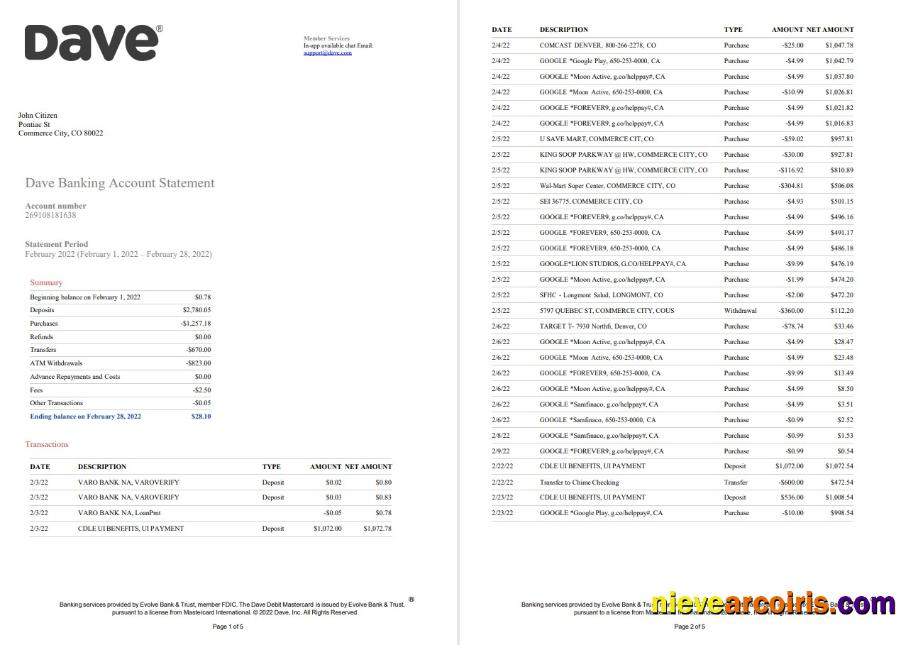 USA Dave bank account statement 5 pages